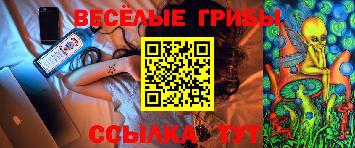 Псилоцибиновые грибы мухоморы Грозный